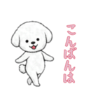 ビションフリーゼと一緒（個別スタンプ：14）