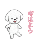 ビションフリーゼと一緒（個別スタンプ：16）