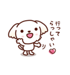 マルチーズ_モモの応援スタンプ（個別スタンプ：2）