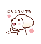 マルチーズ_モモの応援スタンプ（個別スタンプ：4）