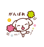 マルチーズ_モモの応援スタンプ（個別スタンプ：7）