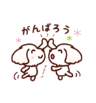 マルチーズ_モモの応援スタンプ（個別スタンプ：10）