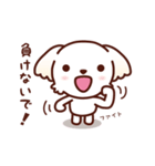 マルチーズ_モモの応援スタンプ（個別スタンプ：12）