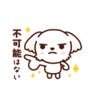 マルチーズ_モモの応援スタンプ（個別スタンプ：16）