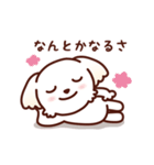 マルチーズ_モモの応援スタンプ（個別スタンプ：18）
