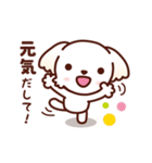 マルチーズ_モモの応援スタンプ（個別スタンプ：24）