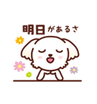 マルチーズ_モモの応援スタンプ（個別スタンプ：26）