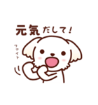 マルチーズ_モモの応援スタンプ（個別スタンプ：27）