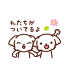 マルチーズ_モモの応援スタンプ（個別スタンプ：29）