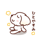 マルチーズ_モモの応援スタンプ（個別スタンプ：33）