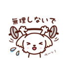 マルチーズ_モモの応援スタンプ（個別スタンプ：35）