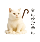 コロン様【陰キャ＆陽キャ】（個別スタンプ：4）