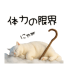 コロン様【陰キャ＆陽キャ】（個別スタンプ：7）