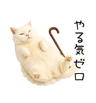 コロン様【陰キャ＆陽キャ】（個別スタンプ：12）