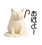 コロン様【陰キャ＆陽キャ】（個別スタンプ：13）