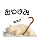 コロン様【陰キャ＆陽キャ】（個別スタンプ：20）