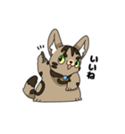 猫のスタンプ アメショ（個別スタンプ：4）