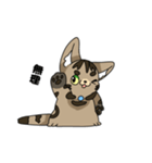 猫のスタンプ アメショ（個別スタンプ：5）