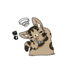 猫のスタンプ アメショ（個別スタンプ：6）