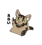 猫のスタンプ アメショ（個別スタンプ：8）