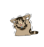 猫のスタンプ アメショ（個別スタンプ：10）