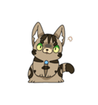 猫のスタンプ アメショ（個別スタンプ：13）
