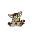猫のスタンプ アメショ（個別スタンプ：14）