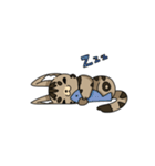 猫のスタンプ アメショ（個別スタンプ：15）