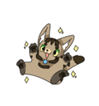 猫のスタンプ アメショ（個別スタンプ：20）