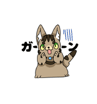 猫のスタンプ アメショ（個別スタンプ：23）