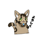 猫のスタンプ アメショ（個別スタンプ：25）