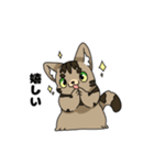 猫のスタンプ アメショ（個別スタンプ：27）