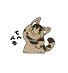 猫のスタンプ アメショ（個別スタンプ：28）