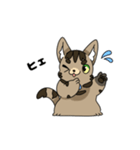 猫のスタンプ アメショ（個別スタンプ：29）