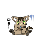猫のスタンプ アメショ（個別スタンプ：36）