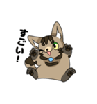 猫のスタンプ アメショ（個別スタンプ：39）
