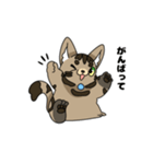 猫のスタンプ アメショ（個別スタンプ：40）