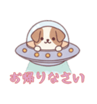 [お帰りなさい専用]宇宙犬UFOで襲来（個別スタンプ：14）