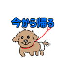シッシのスタンプ（個別スタンプ：5）