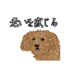 シッシのスタンプ（個別スタンプ：16）