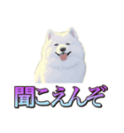 犬味 くそジジイ（個別スタンプ：4）