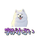 犬味 くそジジイ（個別スタンプ：5）