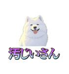 犬味 くそジジイ（個別スタンプ：6）