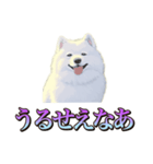 犬味 くそジジイ（個別スタンプ：9）