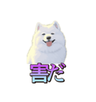 犬味 くそジジイ（個別スタンプ：14）