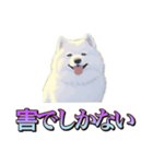 犬味 くそジジイ（個別スタンプ：16）