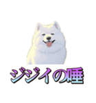 犬味 くそジジイ（個別スタンプ：17）