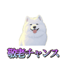 犬味 くそジジイ（個別スタンプ：19）