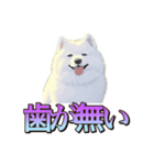犬味 くそジジイ（個別スタンプ：23）