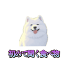 犬味 くそジジイ（個別スタンプ：24）